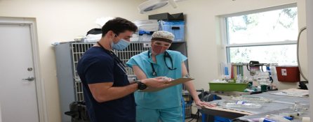Mythos Veterinary - Teaching and Training