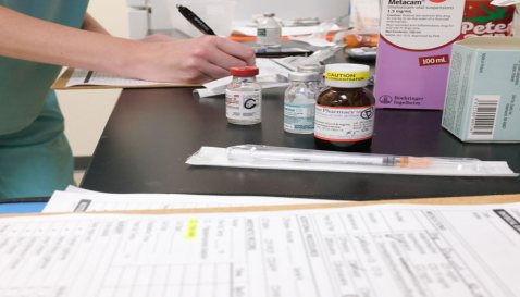 Mythos Veterinary - Organizing for Anesthesia