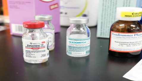 Mythos Veterinary - Ketamine and Domitor