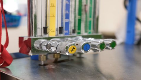 Mythos Veterinary - Flow Meter Knobs